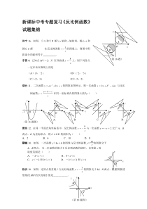 【2019年整理】中考专题复习《反比例函数》试题集锦