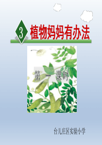 《植物妈妈有办法》第一课时教学课件