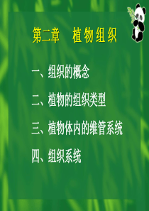 《植物学》课件：组织