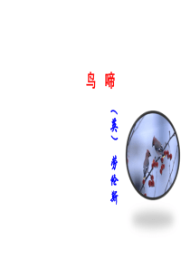 鸟啼(公开课)