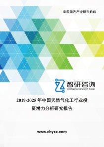 2019-2025年中国天然气化工行业投资潜力分析研究报告