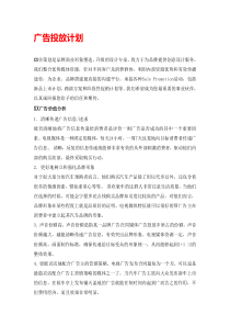 汽车广告投放方案