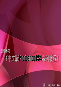 《中文版Photoshop CS4案例教程》课件001