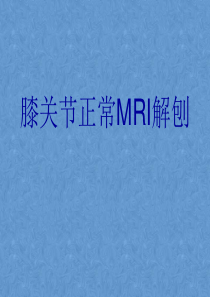 膝关节高清MRI解剖