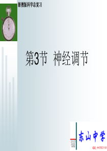 科学 八年级上 第三章 3.3神经调节