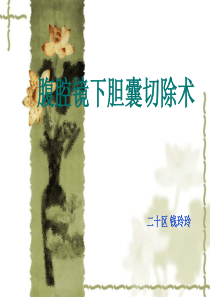 腹腔镜下胆囊切除术及护理