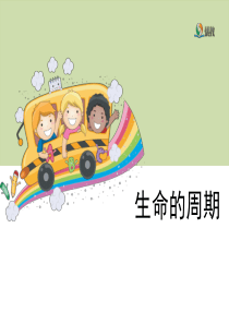 《生命的周期》教学课件