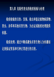 危险性害虫的检疫检验与处理