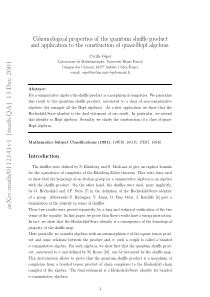 Cohomological properties of the quantum shuffle pr