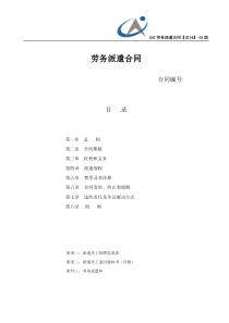 劳务派遣合同（DOC11页）