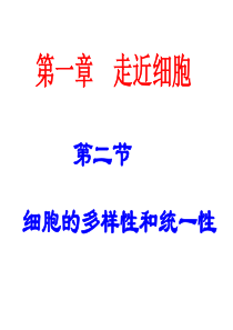 生物：1.2《细胞的多样性和统一性》课件(新人教版必修1)(2)