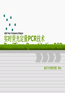 RT-qPCR(实时荧光定量PCR)