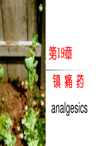 第19章 镇痛药