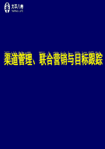 渠道管理、联合营销与目标跟踪―保险公司银行保险经营管理策略培训课程讲座PPT模板课件演示文档幻灯片资