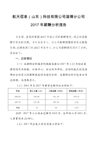 2017年薪酬分析报告