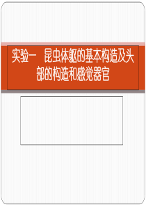 普通昆虫学实验1-106页文档资料