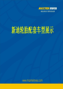 新迪轮胎配套车型介绍2013上半年版