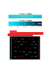 TDS水质测试