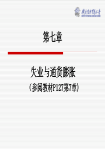 多恩布什宏观经济学课件第七章