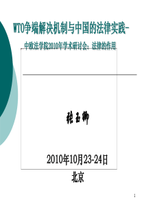 WTO争端解决机制与中国的法律实践