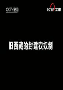 新人教版高中思想政治必修2《处理民族关系的原则：平等、团结、共同繁荣》精品课件