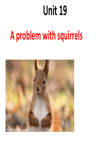 青少版新概念2B Unit19 A problem with squirrels