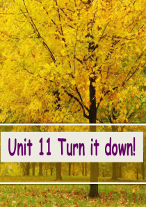 新概念青少版3A_Unit11_Turn_it_down