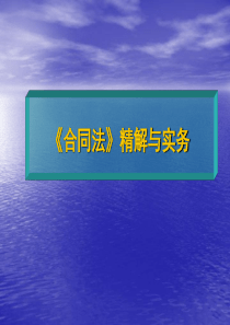 合同法精解与实务定稿