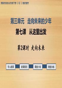 7.2(最新)新课标人教版道德与法治九年级下册第七课从这里出发-第二框-走向未来-课件