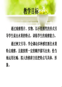 我喜欢的水果2