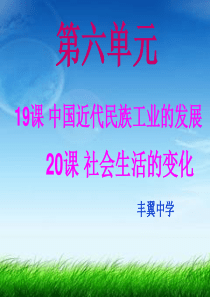 19 20中国近代民族工业的发展及社会生活的变化