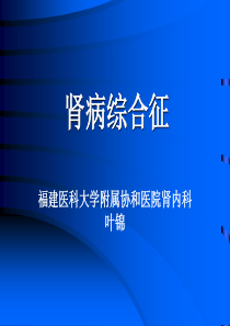 肾病综合征 护理查房