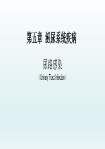 尿路感染――泌尿系统疾病――内科学