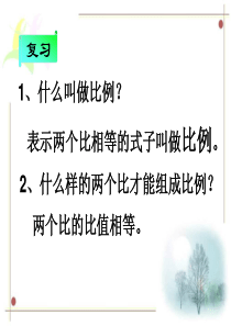 最新人教版六年级数学下册比例的基本性质