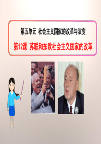 《苏联和东欧社会主义国家的改革》社会主义国家的改革与演变PPT课件