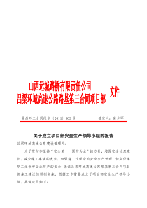 (红头)关于成立项目部安全生产领导小组的报告