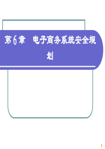 电子商务系统分析与设计第06章 电子商务系统安全规划