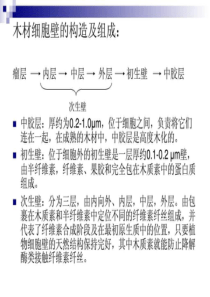 第二节半纤维素降解微生物及半纤维素酶类