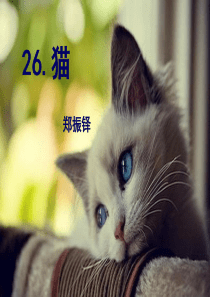 猫_郑振铎优秀课件