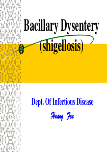 痢疾Bacillary Dysentery