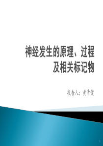 神经发生的原理、过程及相关标记物