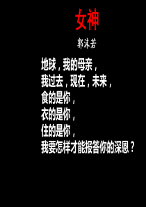 《人类的起源和发展》PPT课件