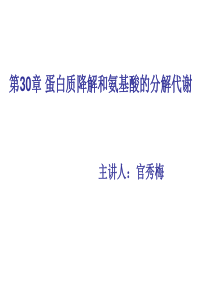 30-氨基酸的分解代谢