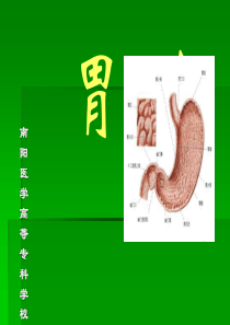 中医内科学课件第三章6.胃痛