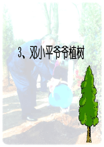 3、邓小平爷爷植树ppt课件