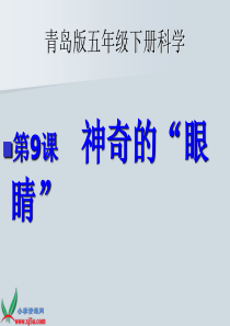 青岛版五年级科学下册――9.神奇的眼睛课件