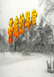 《雪落在中国的土地上》课件