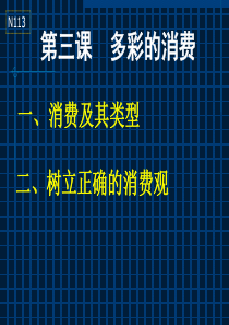 多彩的消费精选教学PPT课件