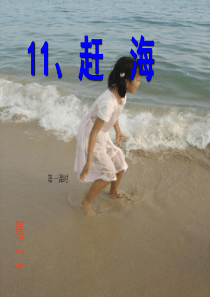 11《赶海》完美版