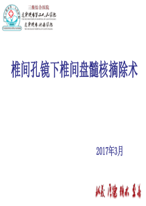 椎间孔镜下髓核摘除术